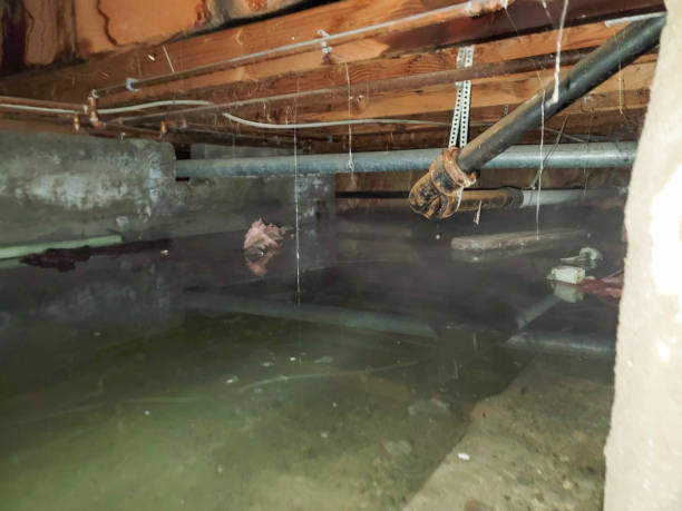  Glendale, CO Water damage restoration Pros