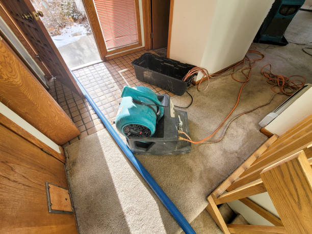 Best Water damage restoration company  in Glendale, CO