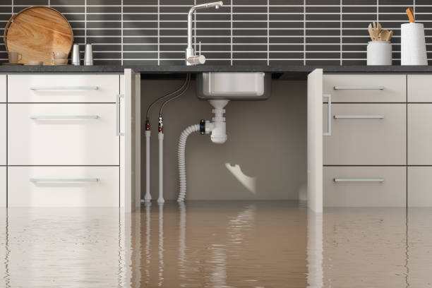 Best Flood restoration services  in Glendale, CO